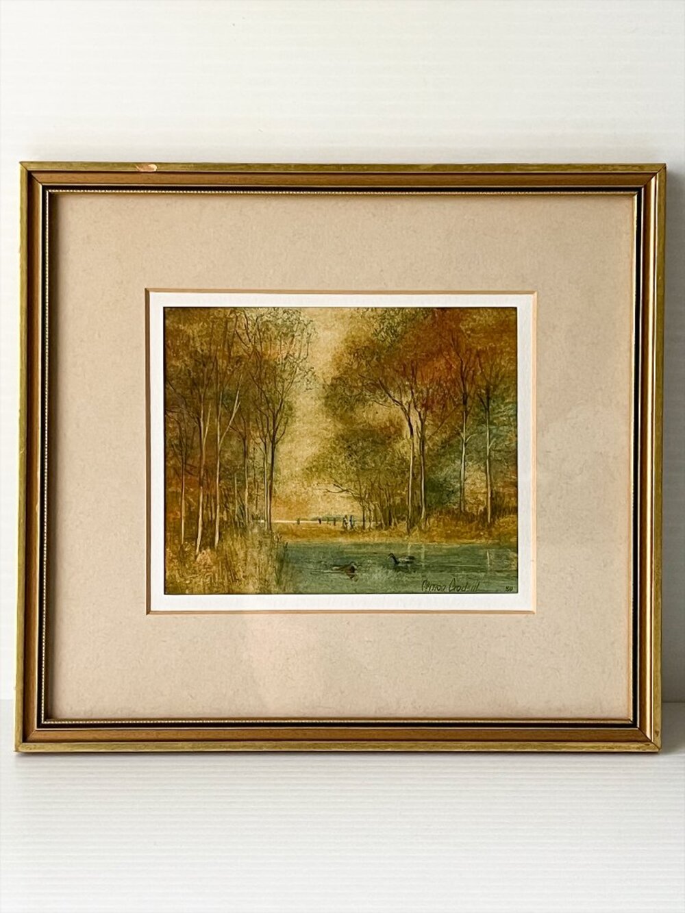 Vernon Godsill Original Watercolor Richmond Park Isabella Plantation '80